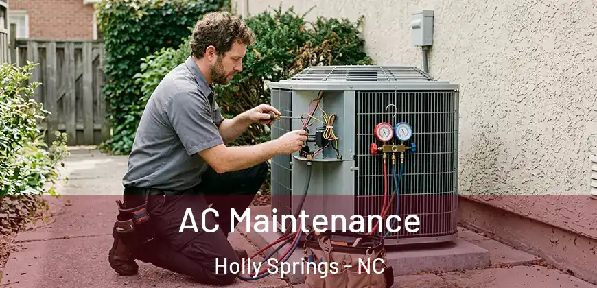 AC Maintenance Holly Springs - NC