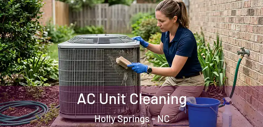 AC Unit Cleaning Holly Springs - NC
