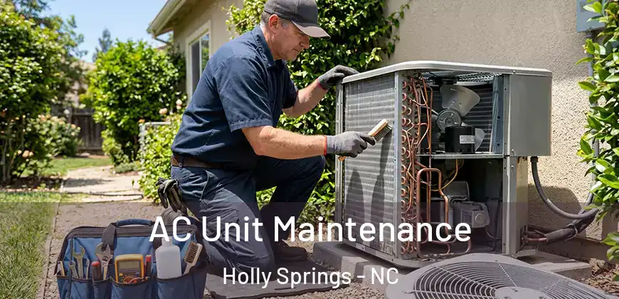 AC Unit Maintenance Holly Springs - NC